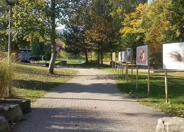 Meublé Des Pierres Blanches N3 *